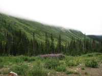 Near Amiskwi Pass